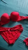 Nuova lingerie natalizia per mia moglie snapshot 2