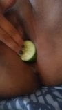 Organic Pussy  Masterbating with a cucumber snapshot 1