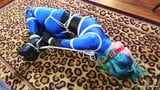 Sunshine Tampa Strict Hogtie snapshot 2