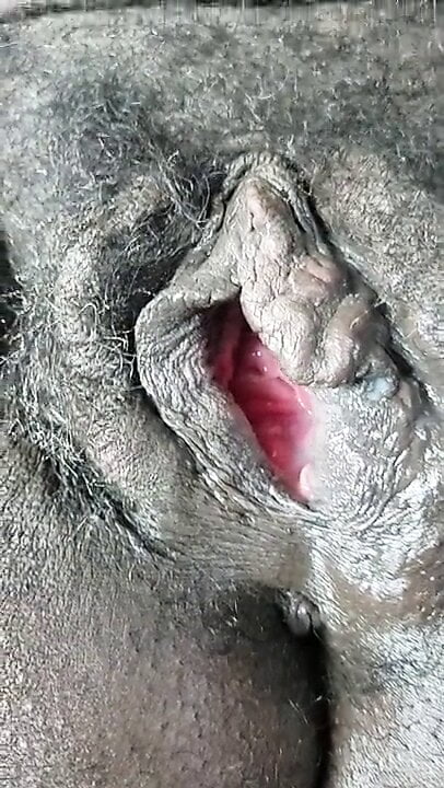 Big black gaping pregnant pussy