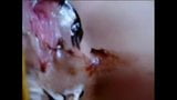 Selbstgedrehte Masturbation 433 snapshot 13