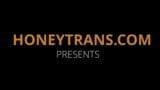 Kurvige Latina-Transsexuelle handeln anal und kommen zusammen snapshot 1