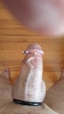 Edging my cock snapshot 1