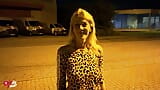 Cute blonde gets fucked on the side of the road!! snapshot 2