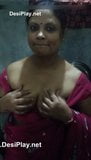 North aunty boob show en sari snapshot 4