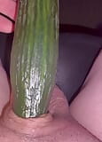 Cucumber, fuck fest snapshot 3