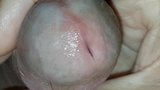 Close up of my milky sperm snapshot 1