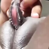 Cel mai mare clitoris snapshot 3