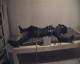 Young boy from Bremen with electro torture snapshot 1