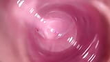 Camera inside my tight creamy pussy, Internal view of my horny vagina snapshot 5
