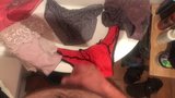 Panties snapshot 2