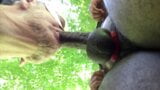 Grandpa Sucks Black Dick in the Park snapshot 15