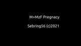 SIMS4 M+MzF Schwangerschaft snapshot 1