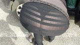 big ass french 2 snapshot 1