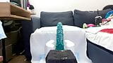 Riding Hankey's Toys "Prince Charming XXL" and "Seahorse XXL" - FULL snapshot 9