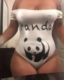 Panda snapshot 2