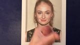 Tribute To Sophie Turner snapshot 1