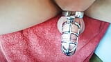 chastity cage with electronic padlock snapshot 7