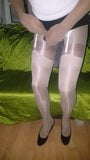 Encasement shiny snapshot 2