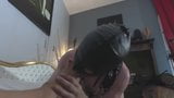 a slave licking Domina Frankie's toes snapshot 6