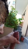 Exhibition masturbation on my balcony snapshot 6