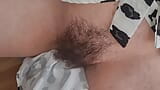 Hairy pussy gets fucked hard snapshot 2
