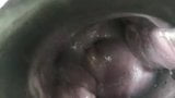 Offene Vagina, doppelter Orgasmus snapshot 11