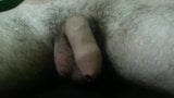 Erection of my cock snapshot 1