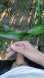 the farmer's wife asked to inject extra vitamin in the corn field,he was a bit shy snapshot 6