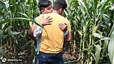 インドのゲイ - 今日私はトウモロコシ畑で大学生の男の子と大学の先生を見ました snapshot 1