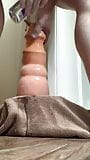 Riesiges Walross, Dildo-Arschloch snapshot 9