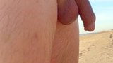 Boy wanks in The dunes of the beach snapshot 3