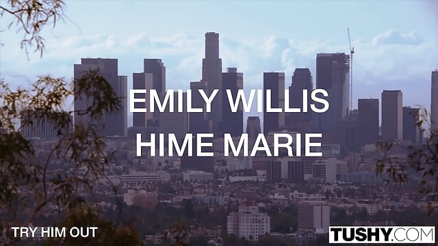 Emily’s Explosive Erotica: The Complete Collection of Emily Willis