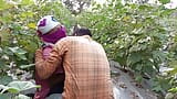 Indische shemale-films - Pooja shemale Bhabhi Cotton Farming komt en grote leeftijd vriend kontliefhebber - Desi neuken - Hindi-stem snapshot 1