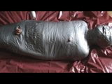 Slave as silver stepmummy snapshot 8