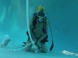 Scuba orso che nutre pulitore per piscina snapshot 15