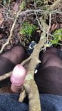 in the forest in pantyhose cumshot snapshot 6