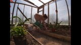 Naked Greenhouse Worker Planting Cacti snapshot 4