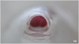 Clear internal Fleshlight quickie with sound snapshot 8