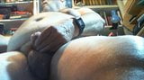 Big Daddy Wank snapshot 10