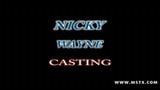 Il casting di Nicky Wayne snapshot 1