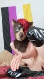 Femboy, fursuiter excitée, exhibe son cul et sa bite snapshot 1