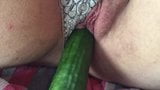 BBW slut pet car fun day 2-loves the cucumber! snapshot 6