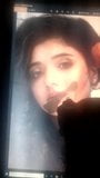 Mallu actress mirnaa cum tribute snapshot 9