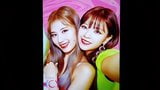 TWICE Sana and Jeongyeon Cum Tribute snapshot 2