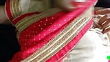 Sexy hermosa dama de sari rosa follando en la noche snapshot 2