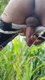 Divirtiéndome en un campo de maíz, ordeñando mi polla snapshot 9