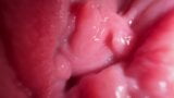 Wide close up pussy spreading and dirty talk snapshot 14