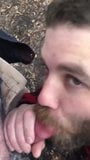 Bearded sucker snapshot 7