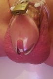 Sissygasm in chastity snapshot 4